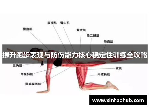 提升跑步表现与防伤能力核心稳定性训练全攻略