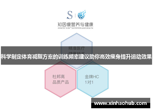 科学制定体育减脂方案的训练频率建议助你高效瘦身提升运动效果