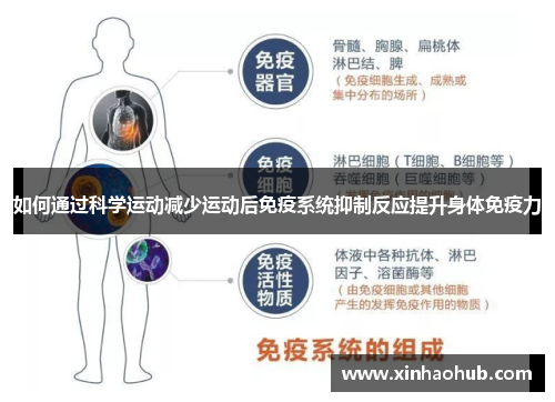 如何通过科学运动减少运动后免疫系统抑制反应提升身体免疫力