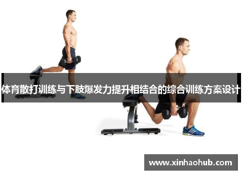 体育散打训练与下肢爆发力提升相结合的综合训练方案设计