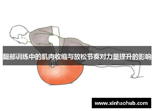 腿部训练中的肌肉收缩与放松节奏对力量提升的影响